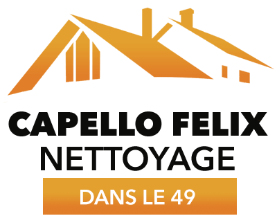 CAPELLO Felix Peinture 49