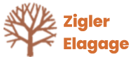 Ziglerelagage31