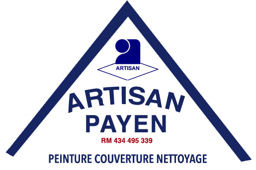 PAYEN Olivier Couverture Peinture 91