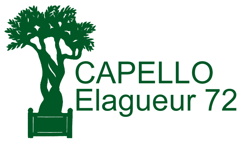 CAPELLO Giovanni Elagueur 72