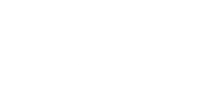 BRIET Philippe couverture 95