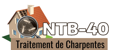 NOUAILLES Thierry traitement de charpentes 40